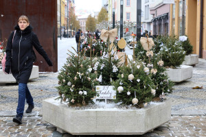 Malé vánoční stromky ozdobené chebskými školami.